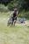 NizzaTriathlon_2019_086.jpg