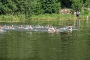 DSC01463.jpg