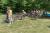 DSC01456.jpg