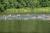 DSC01464.jpg