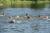 DSC01468.jpg