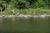 DSC01472.jpg