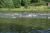 DSC01475.jpg
