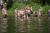 DSC01476.jpg