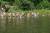 DSC01477.jpg