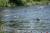 DSC01482.jpg