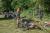 DSC01506.jpg