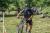 DSC01511.jpg