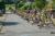 DSC01520.jpg