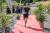 DSC01563.jpg