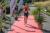 DSC01575.jpg