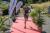 DSC01576.jpg