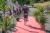 DSC01584.jpg