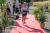 DSC01598.jpg