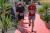 DSC01625.jpg